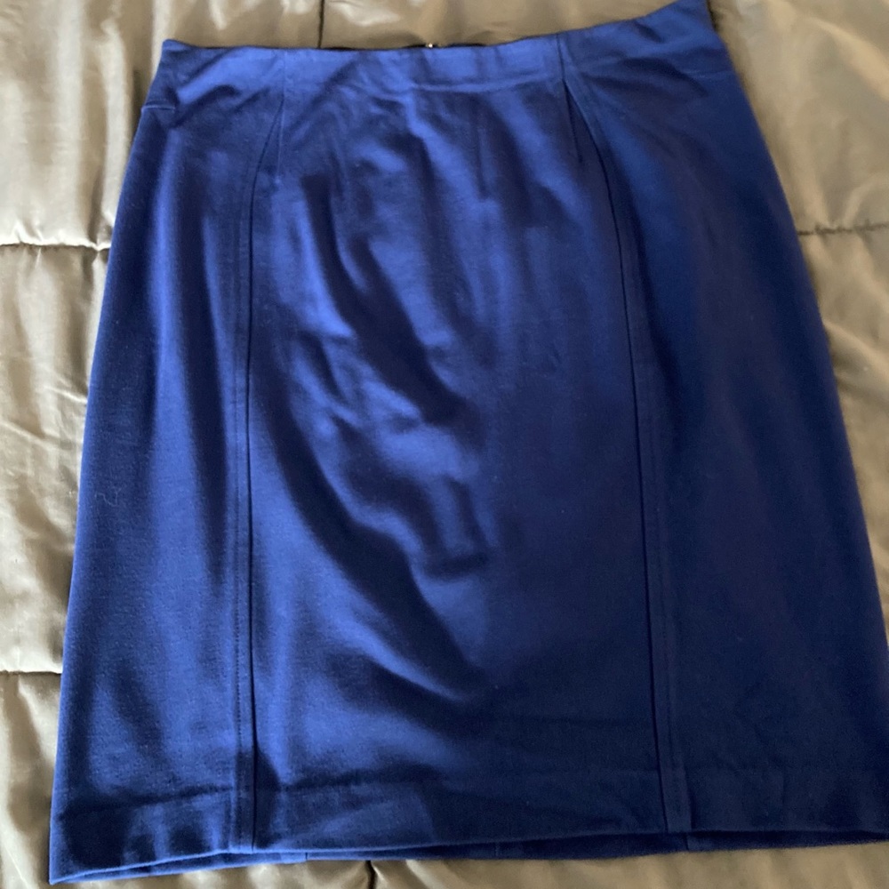 Blue Ann Taylor Skirt